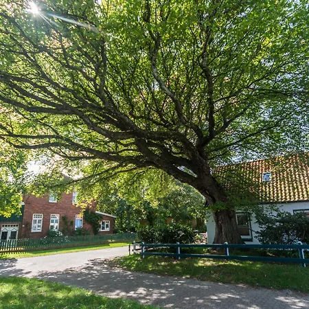 Apartmán Heise Spiekeroog