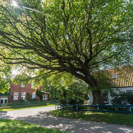 Apartment Heise Spiekeroog
