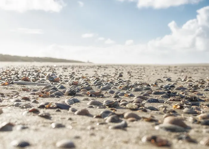 Heise Апартаменты *